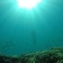 Sous l'eau