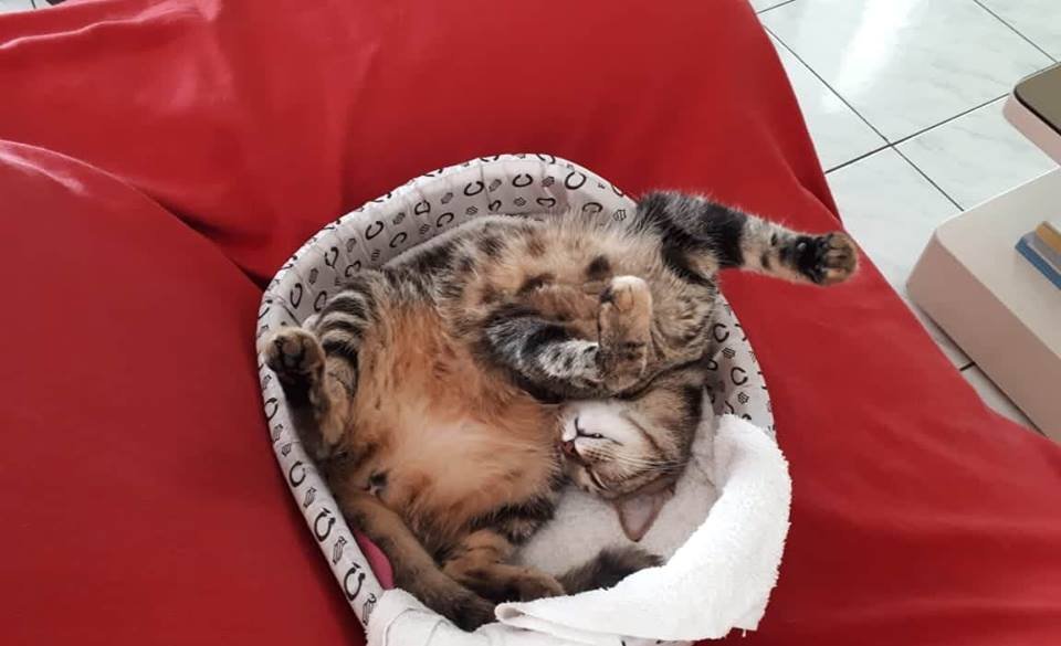Pendant qu'on bosse, une autre sieste à Nouméa !