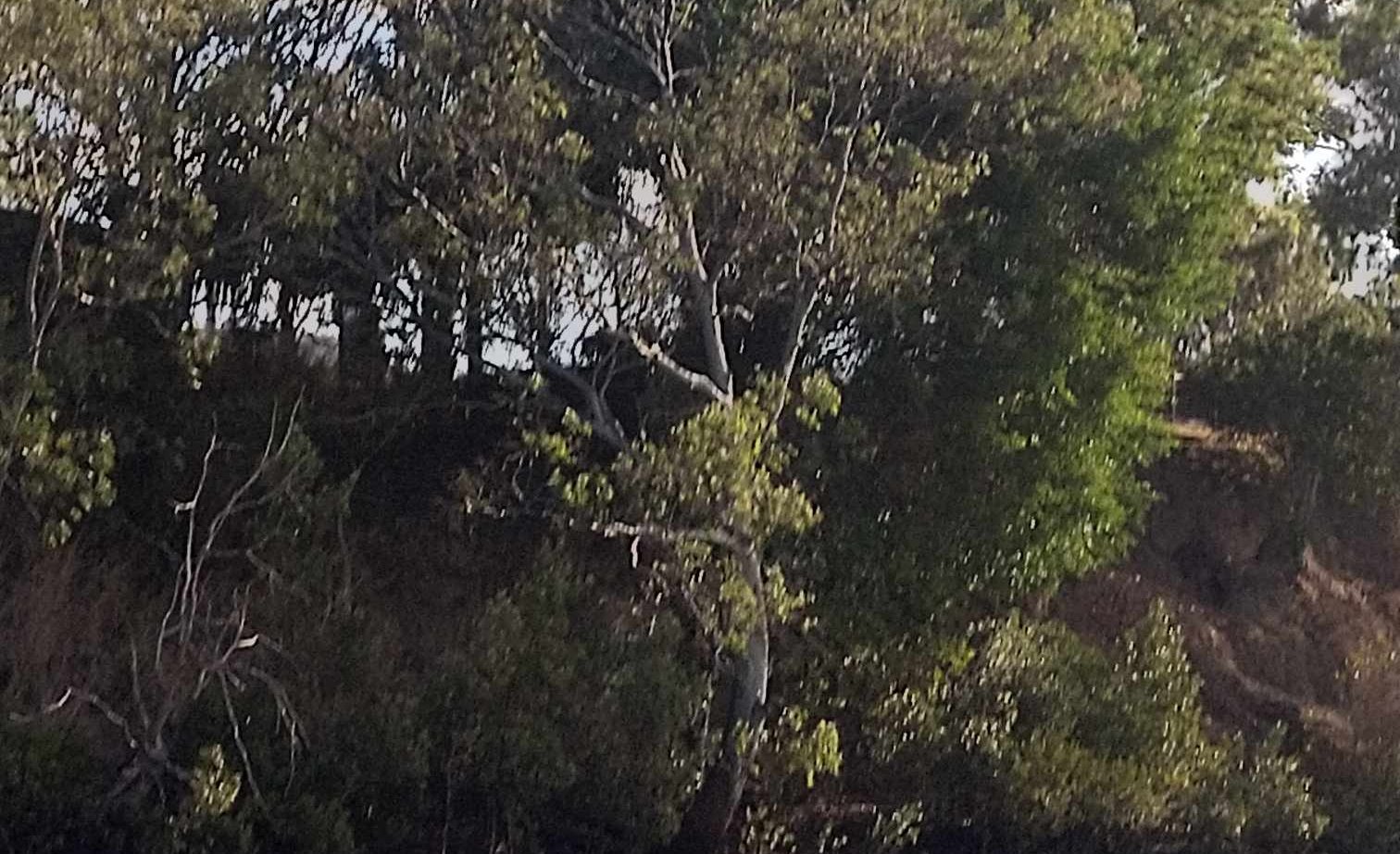 Petite virée en annexe à Bundaberg