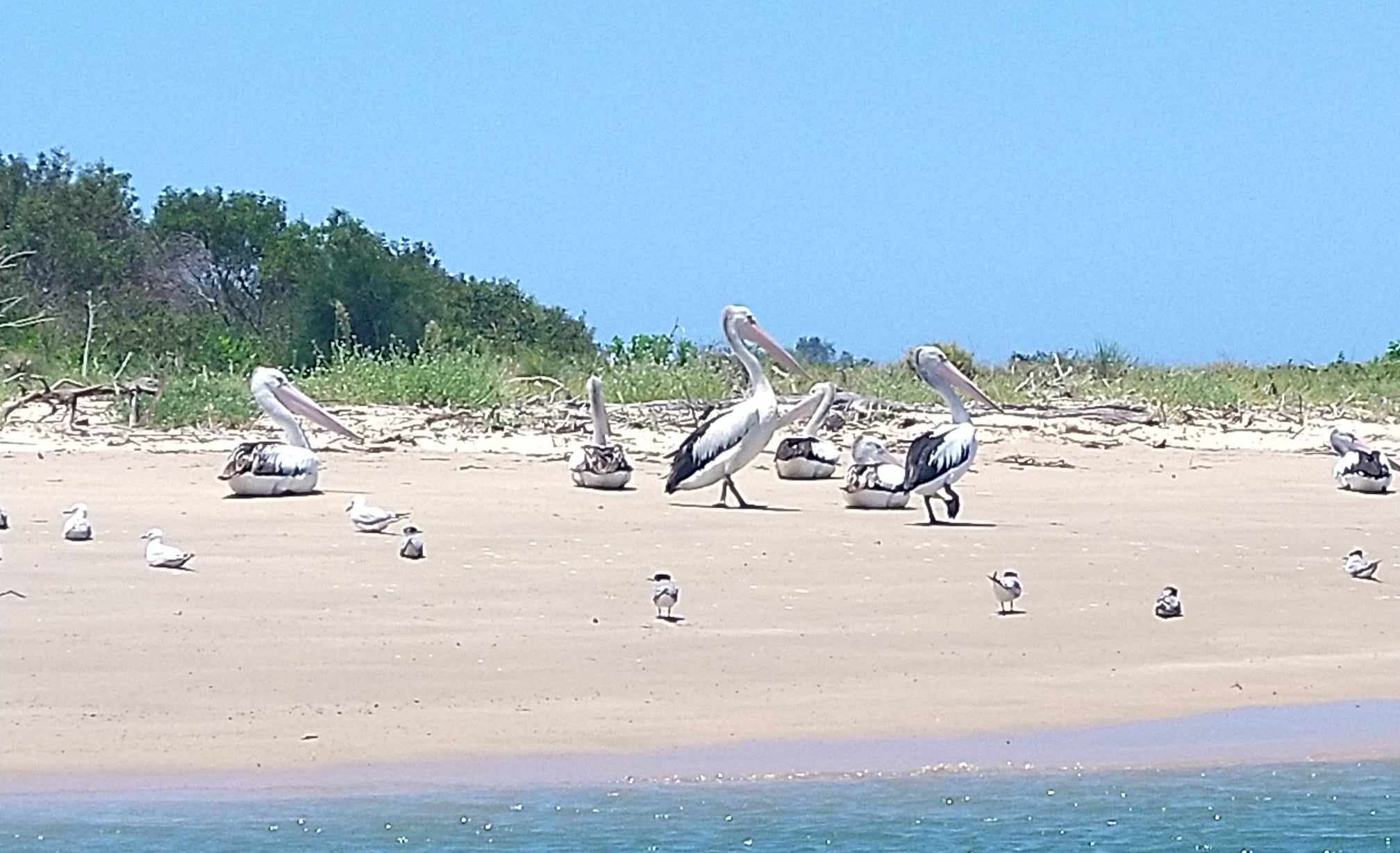 Face à la marina de Port Macquarie