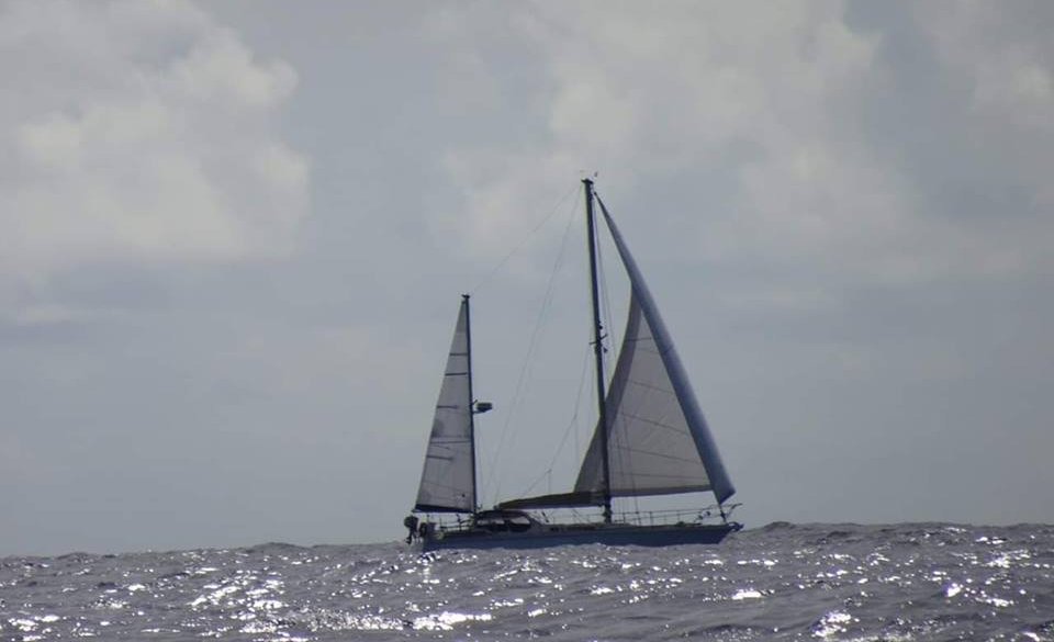 51231751_520589168429800_6824119162604879872_n.jpg