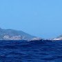 Les Saintes