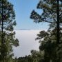 En montant au Teide