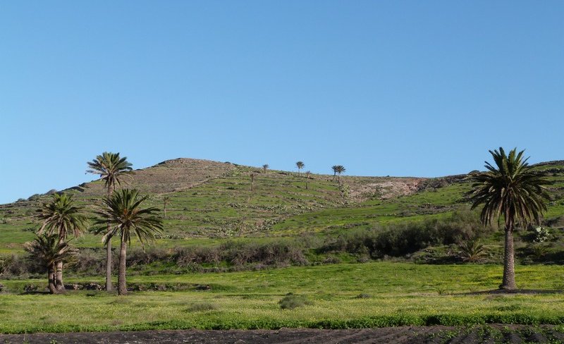 Découverte de l'île