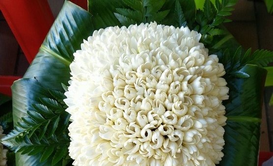 Bouquet de fleurs de tiaré