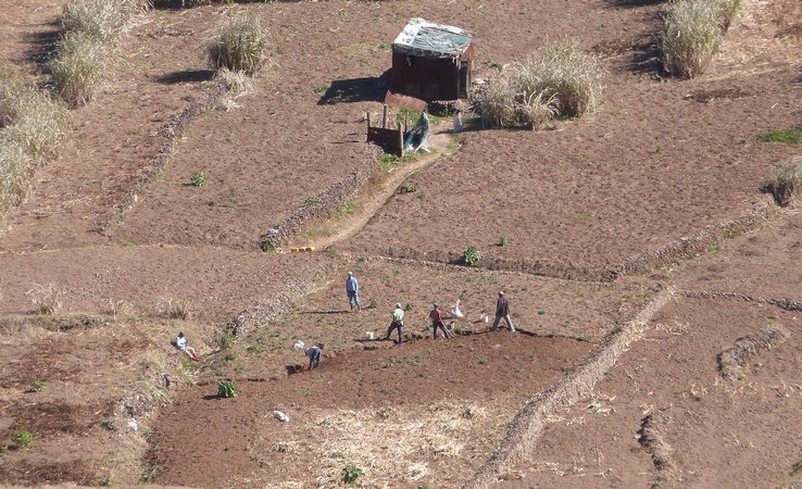 Les cultures au fond du cratère