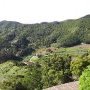 Anaga