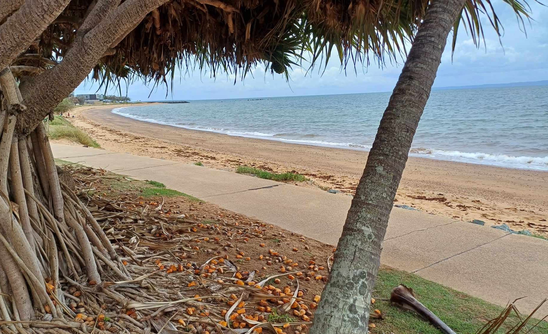 Promenade le long du rivage en rentrant au bateau