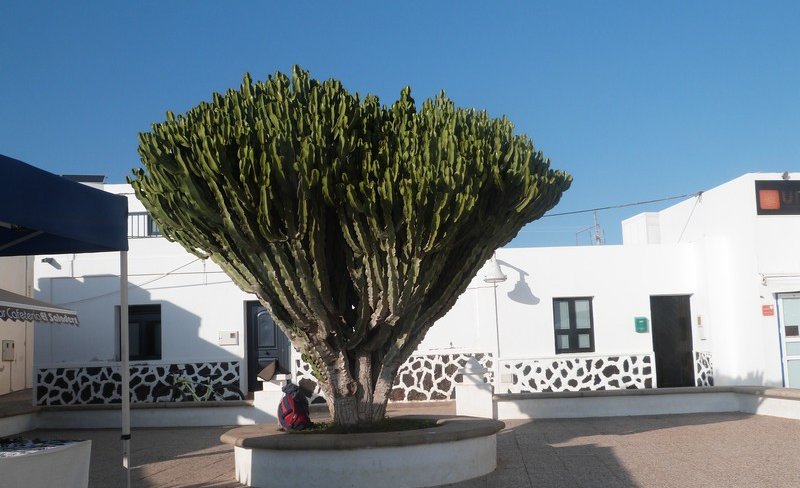p1040333.jpg