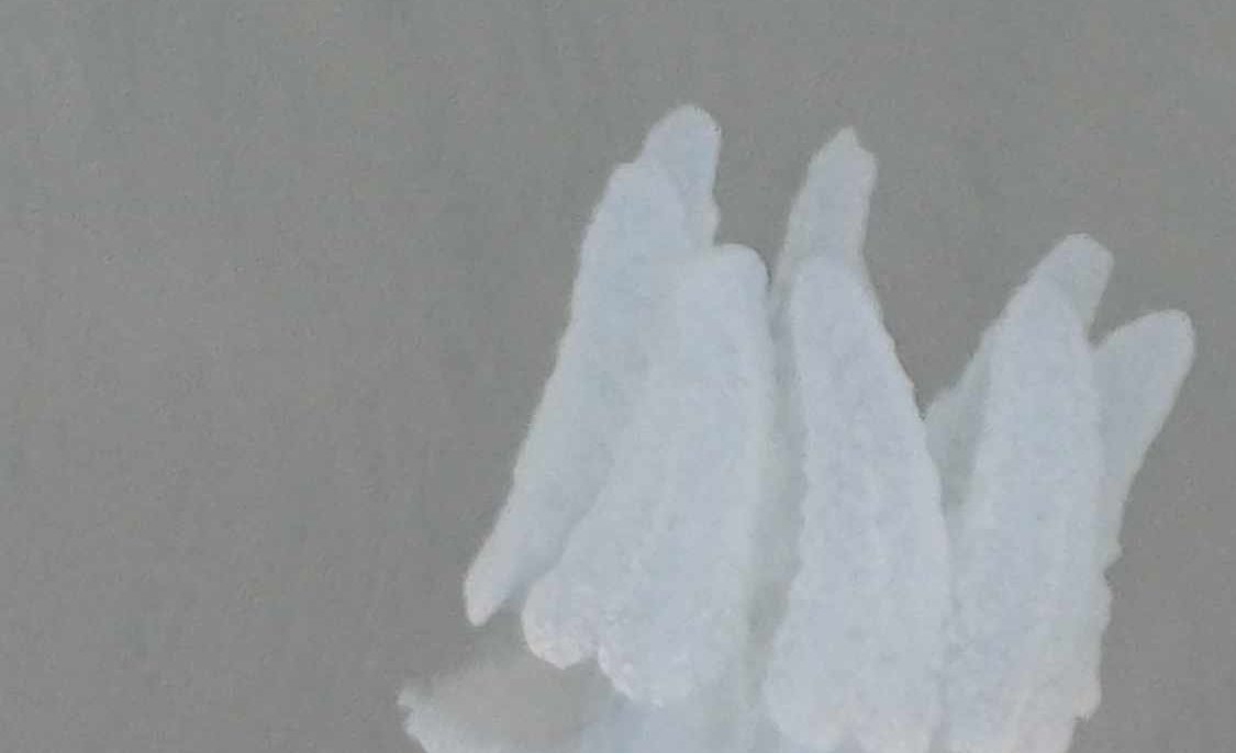 Gentilles méduses