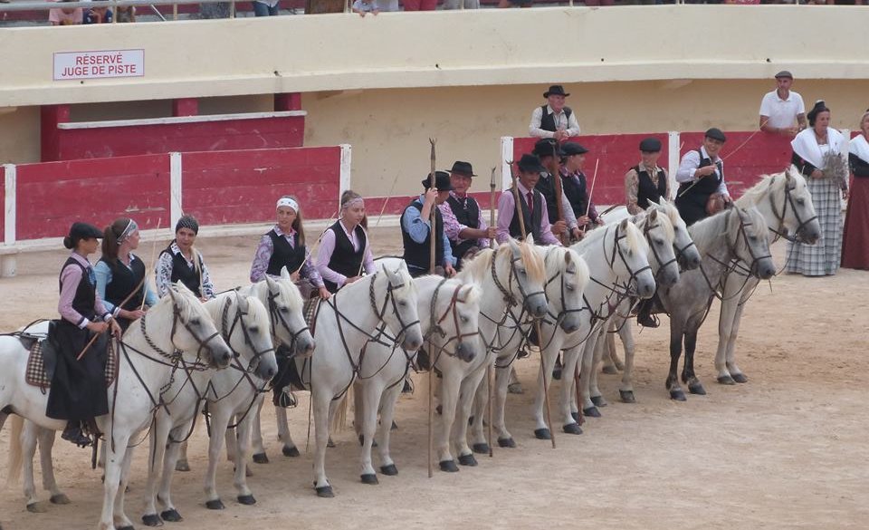 La capelado avec les chevaux camarguais