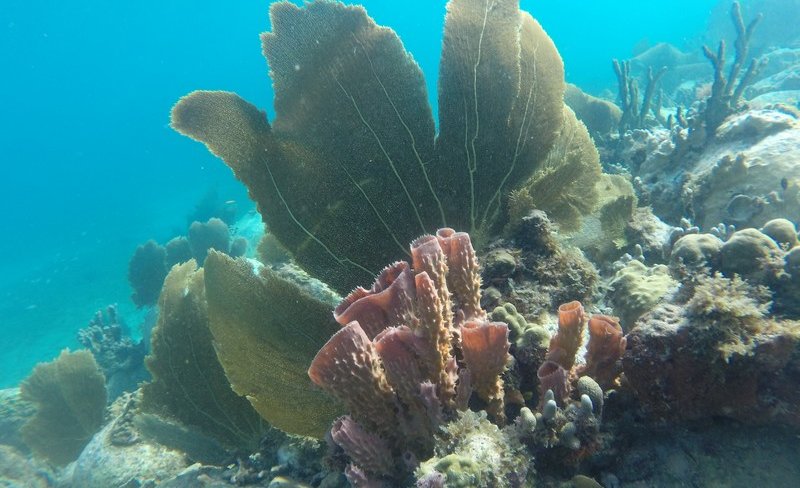gopr1192.jpg