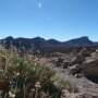 Parc du Teide