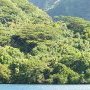 Moorea
