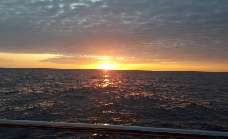 20190420_183710.jpg