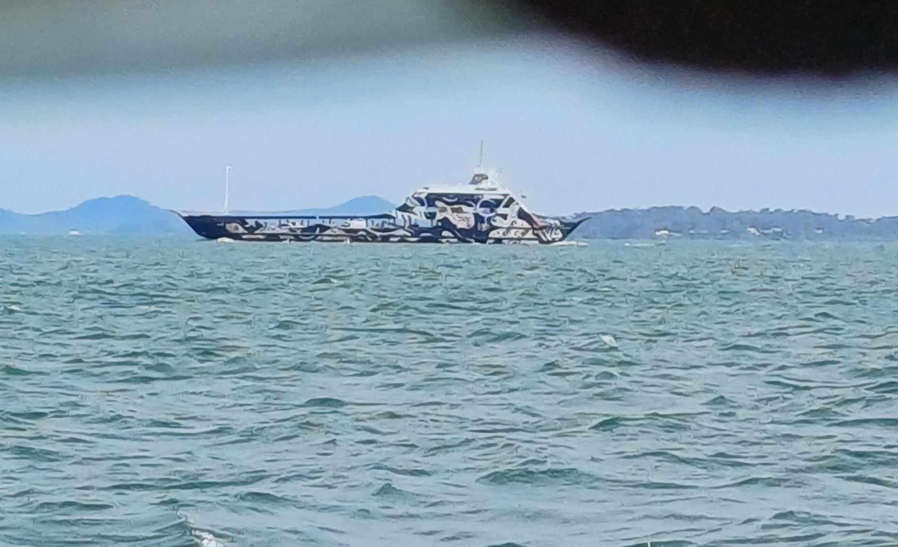 Bateau camouflé