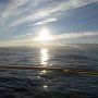 Scintillements sur la mer