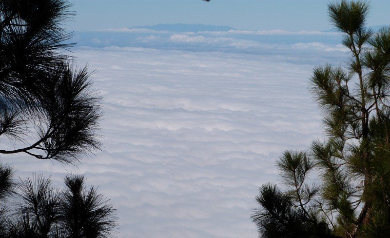 En montant au Teide