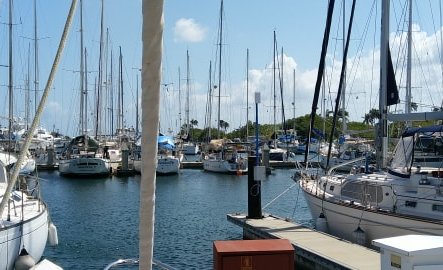 La marina