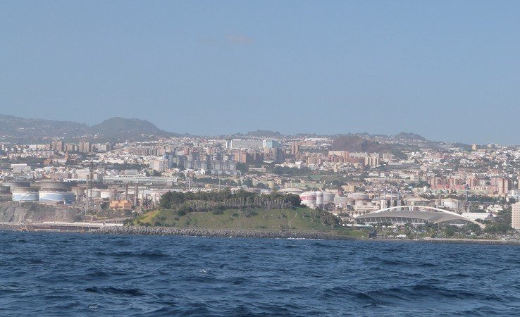 Le palmetum
