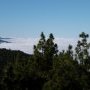 Parc du Teide