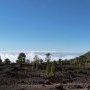 Montée au Teide