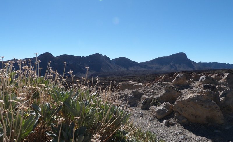 Parc du Teide