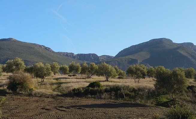 paysage_3.jpg