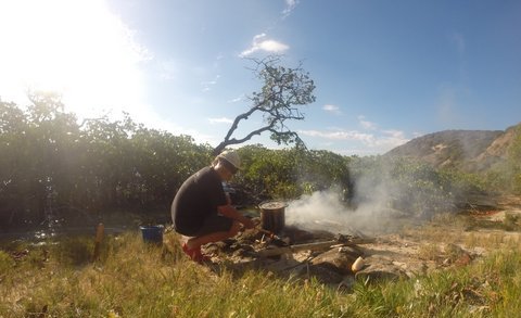 Cuisson des araignées de mer