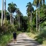 Promenade autour de la marina