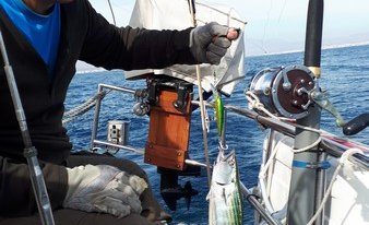 La pêche pas encore très sportive