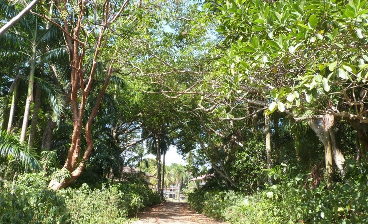 p1050125.jpg