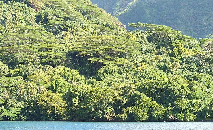 Moorea