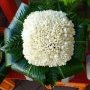 Bouquet de fleurs de tiaré
