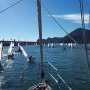 Sortie du port d'Altea escorté