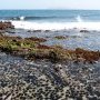 Plage de Calhau peuplée d'oursins