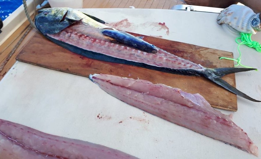 Celui là avait déjà avalé un poisson volant