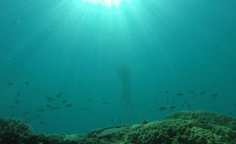 Sous l'eau