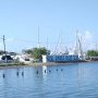 La Marina