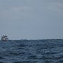 Des pêcheurs aui suid des Galapagos