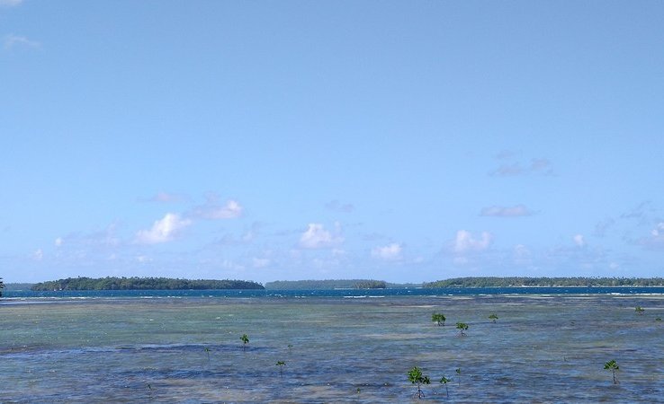 De l'autre coté de l'ilot
