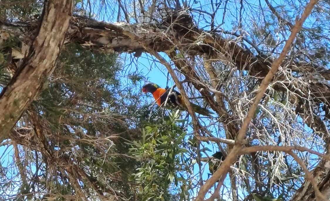 Sur la route du rhum