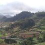Anaga