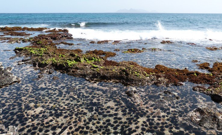 Plage de Calhau peuplée d'oursins