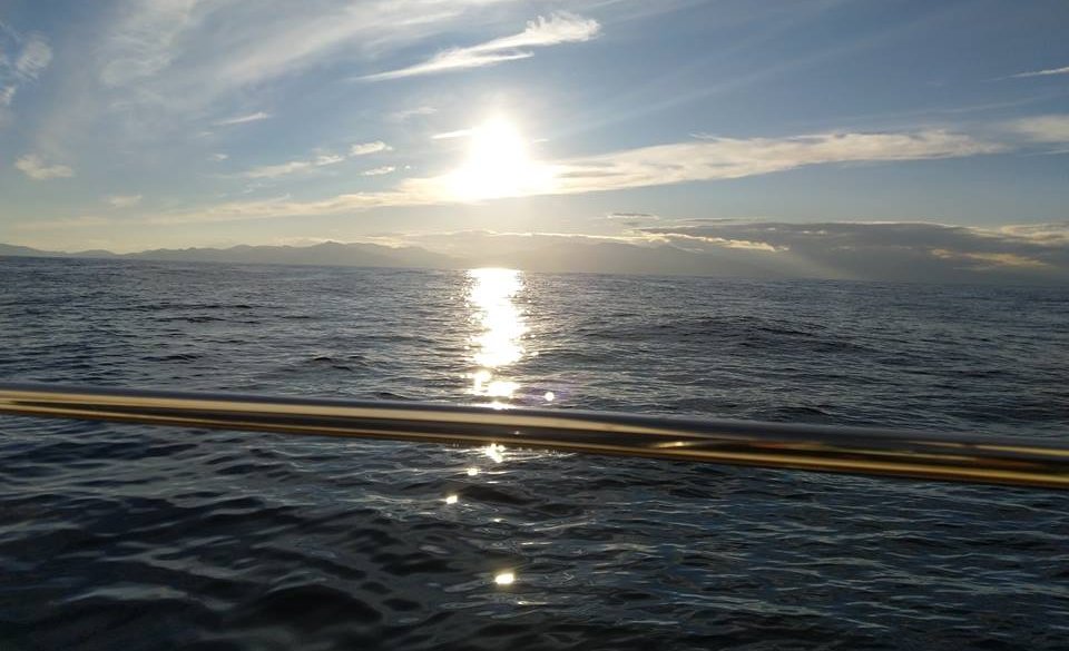 Scintillements sur la mer