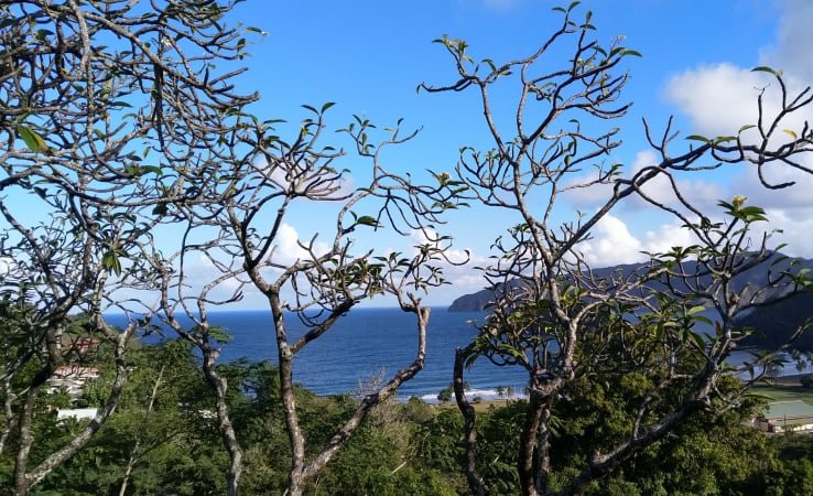 Vue des hauteurs