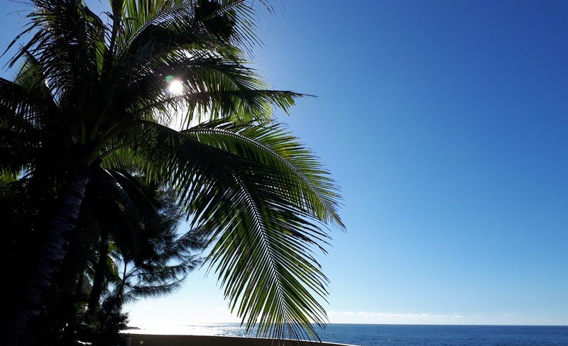 Pointe Venus