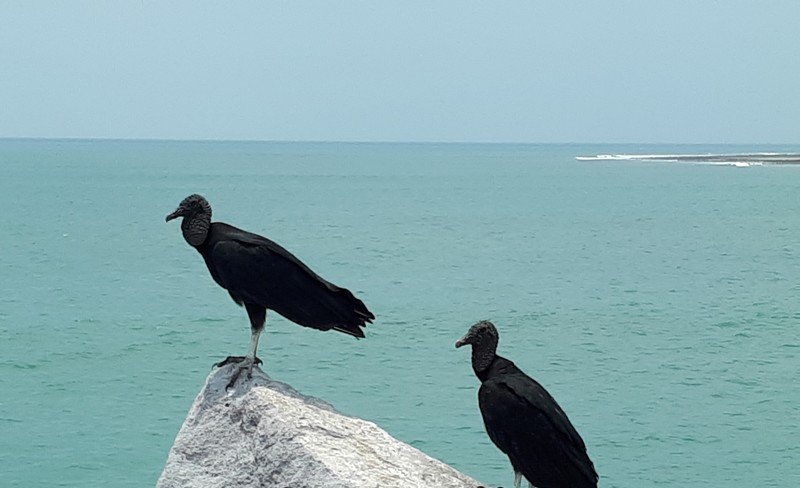 20190410_114930.jpg