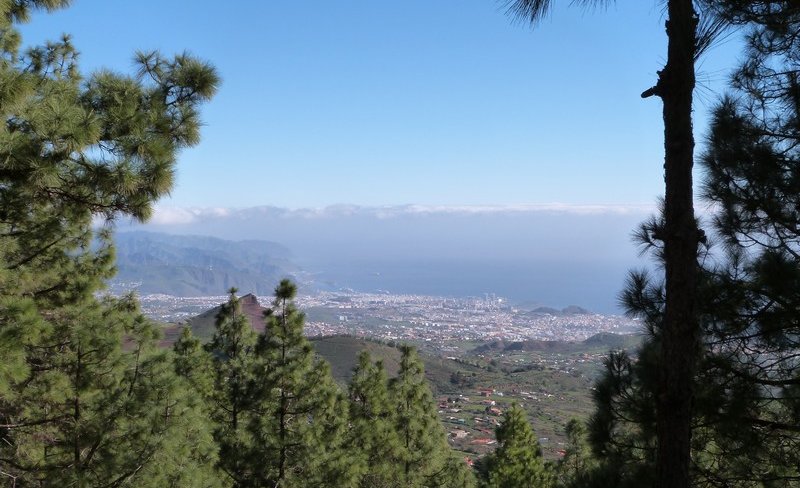 En montant au Teide