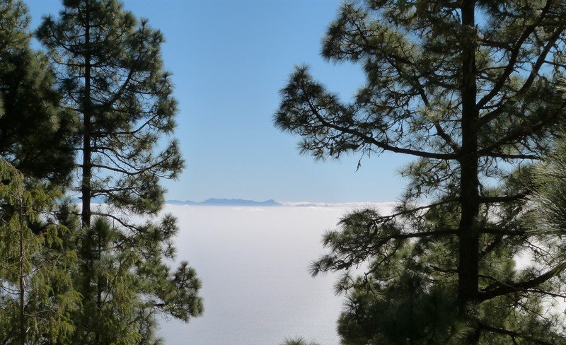 En montant au Teide